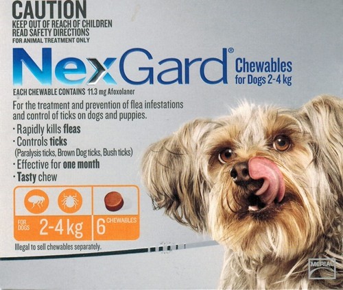 nexgard 24